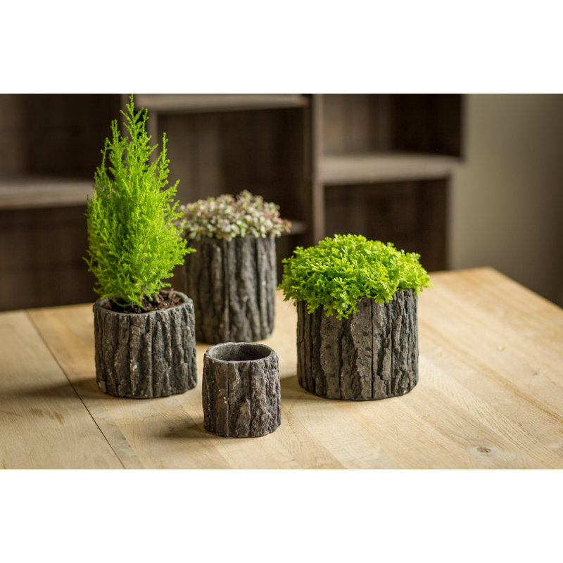 Calabro Pot Planter, 4.75" H x 5.5" W x 5.5" D
