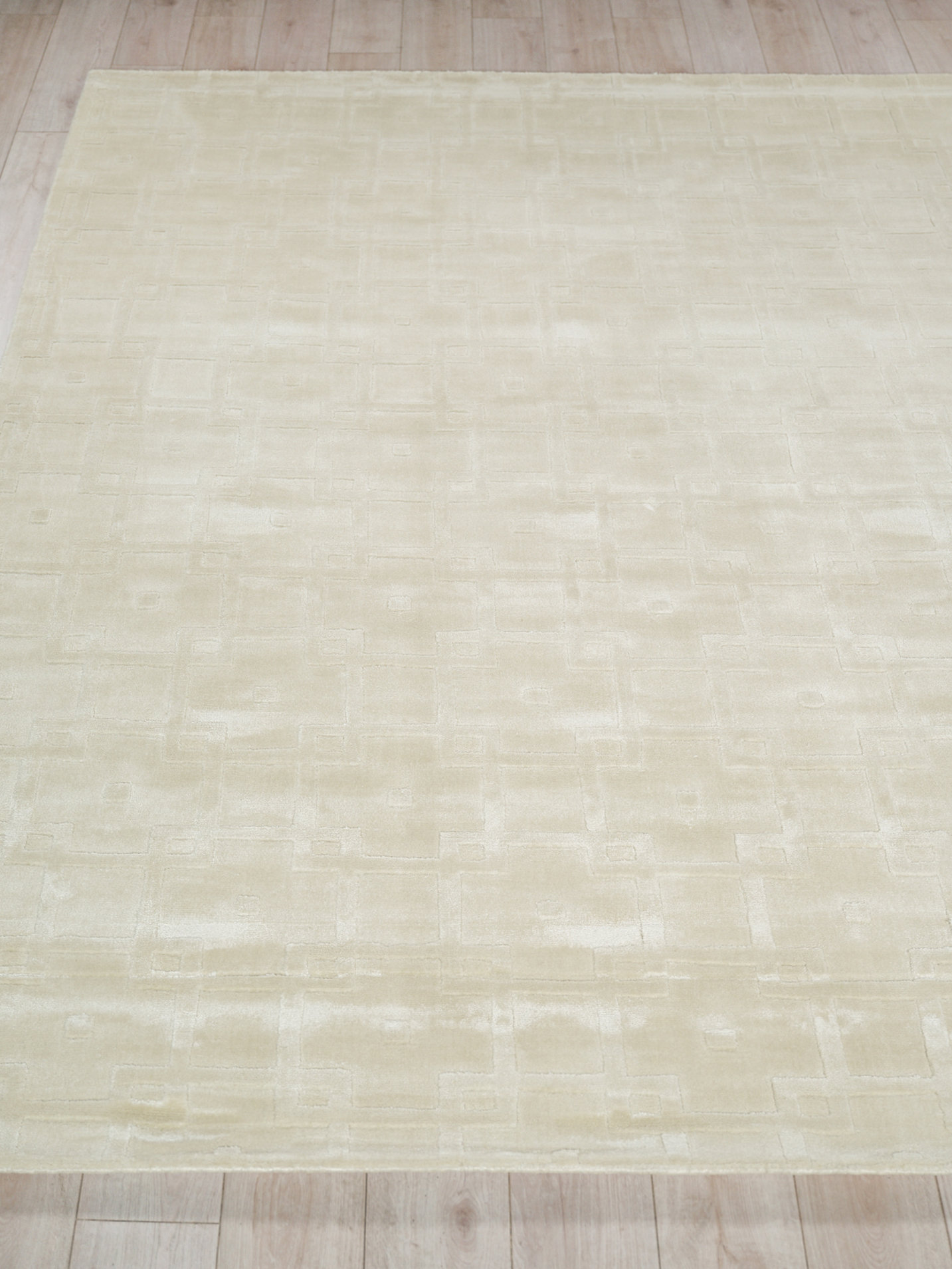 EXQUISITE RUGS Camora Modern Handmade Silky Nylon Beige Area Rug | Perigold
