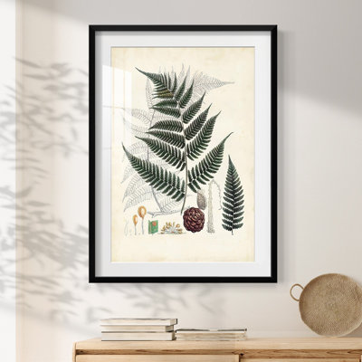 Zac -Gallery Wrapped Canvas