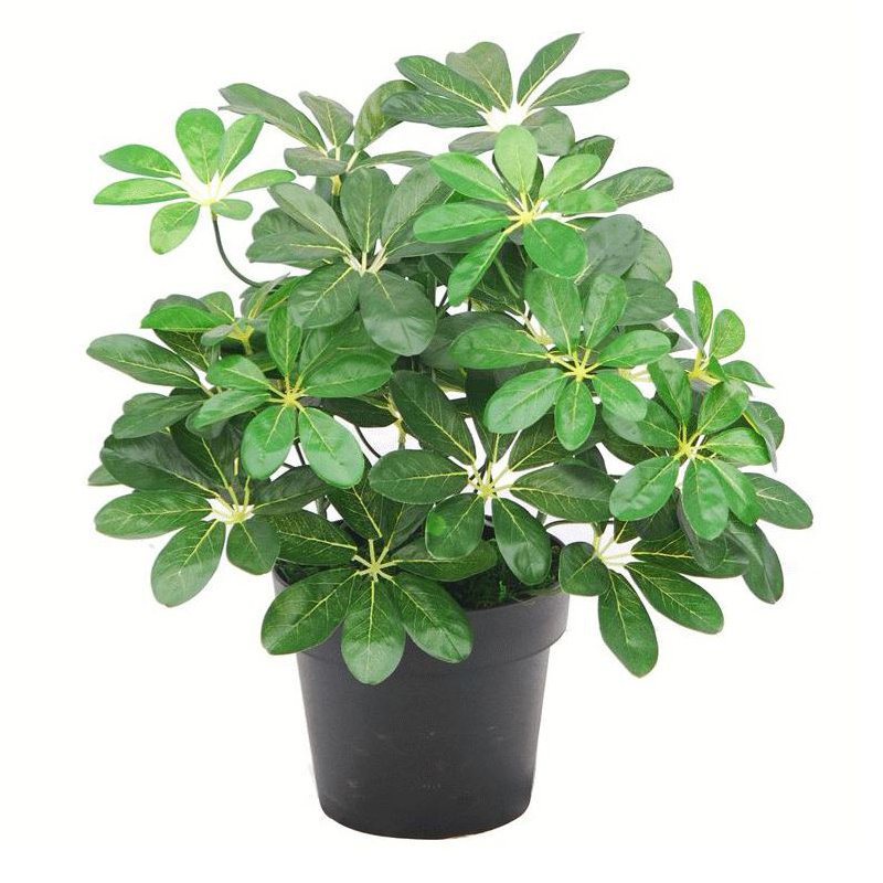 55cm Faux Plant in Pot Liner, Dark Green, 55 cm x 30 cm