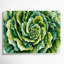 Art mural sur toile vert-290883483