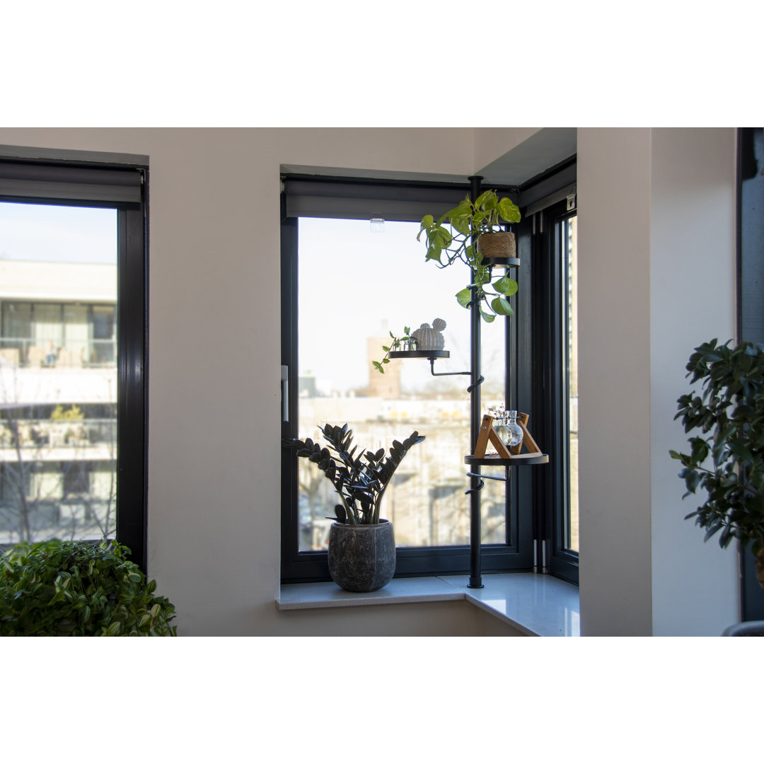Telescopic Etagere