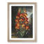 The Superb Lily by R.J. Thornton - Picture Frame Painting Print-55640261-55640260