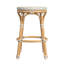 Tobias Outdoor Rattan and Metal Counter Stool-1603727897