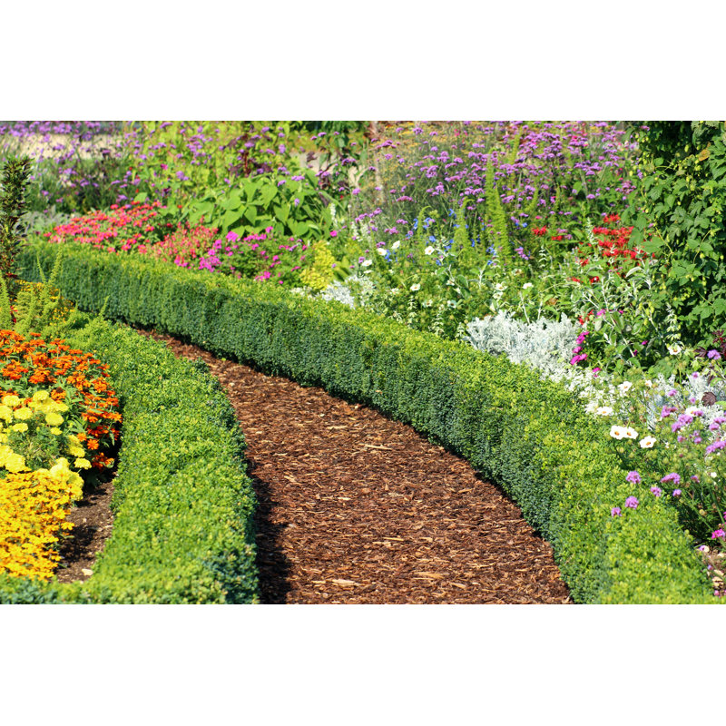 Herb And Flower Garden by Fotolinchen - No Frame Art Prints on Canvas, 61cm H x 91cm W