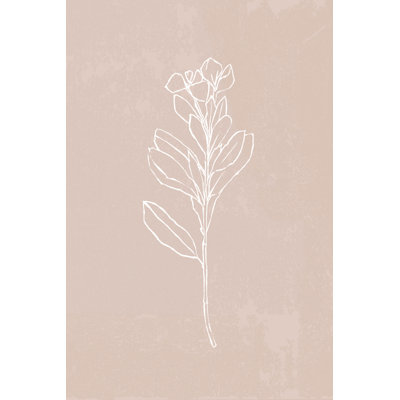 Blush Bloom I by Annie Warren - Drawing