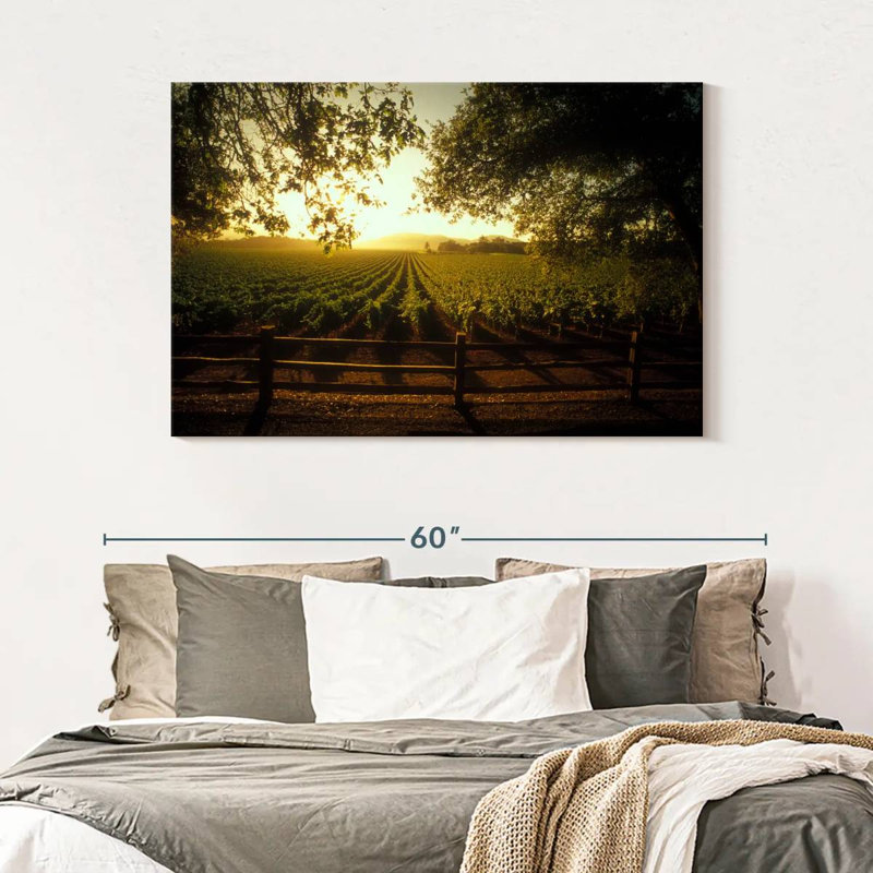 Alvord Oakville Vineyard, H 32 po x l 48 po