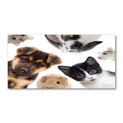 Pets - Wrapped Canvas Print