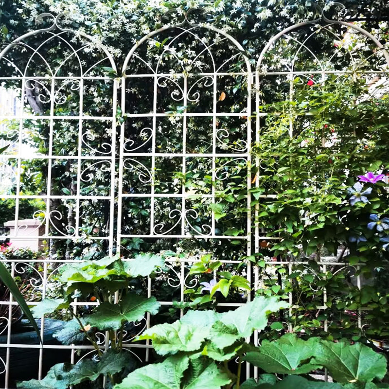 Paquet de 2, treillis de jardin en métal 86,7 po x 19,7 po blanc crème, rouille, pour plantes grimpantes comme la gloire du matin