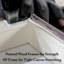 «Lola Chihuahua» par Sylvie Demers-490572935