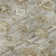 Premium Machine Washable Maag AMF1772 Global Rug