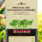 Starisha Steel Outdoor Elevated Planter