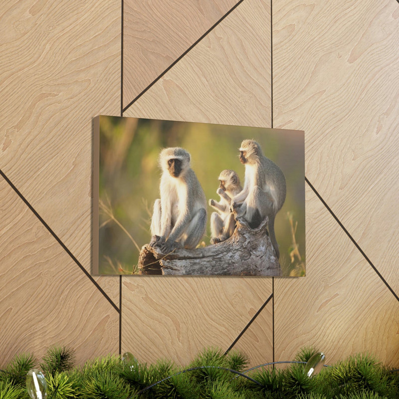 No Frame Print on Canvas, 12cm H x 16cm W