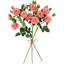 Jets de roses-86731924