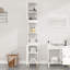 Lamonique Freestanding Bathroom Cabinet-1512757378