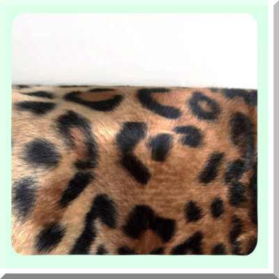 Animal Print Square Pillow Covers - Set of 2 Short Cushion Decorative Throw Pillowcases for Sofa, Bed, Chair, Auto Seat