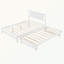 Lit Nimer-277847199