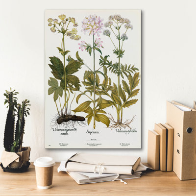 'Wild Flowers' by Art Licensing Studio Canvas Wall Art