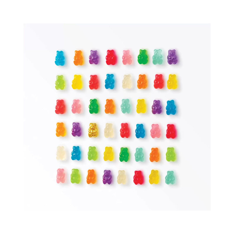 Reproduction de photo « Rainbow Bears » par Erin Summer, Pas de tapis, H 26 po x l 26 po x P 1,5 po, Toile tendue