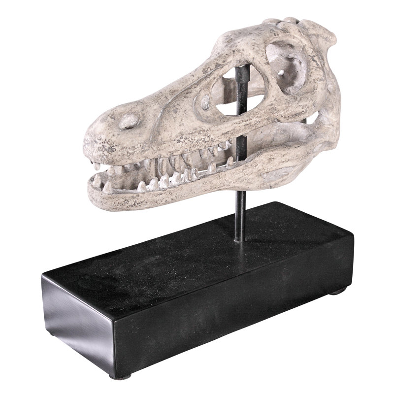 Velociraptor Dinosaur Skull Fossil Sculpture