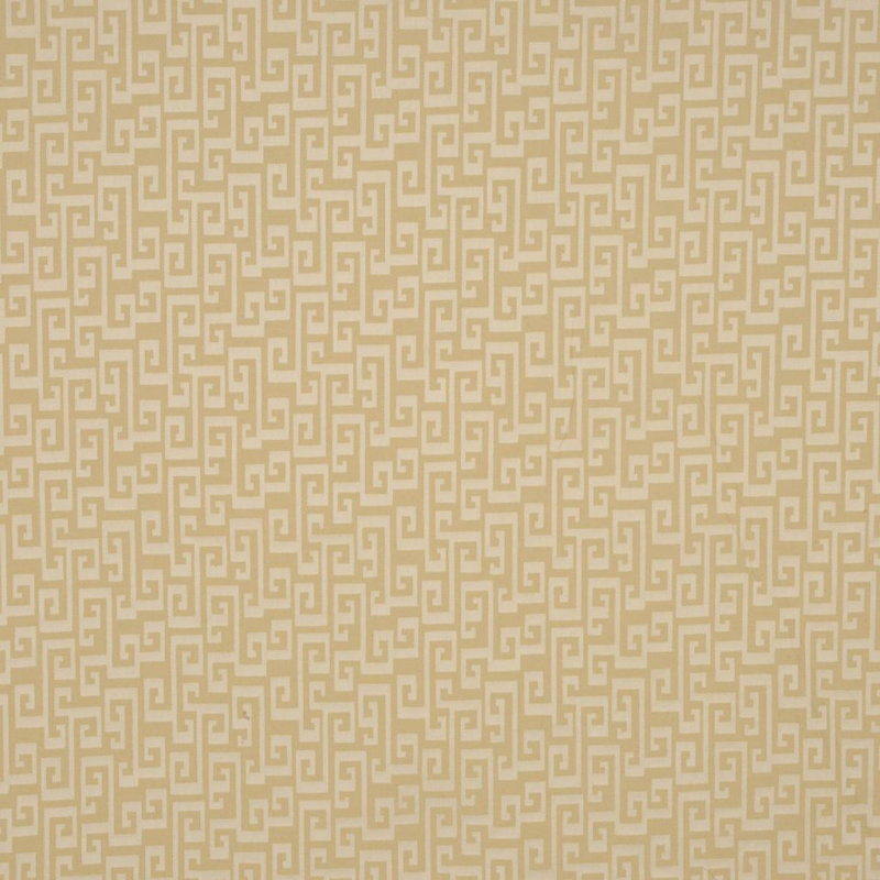 Allure 100% Cotton Fabric, Beige