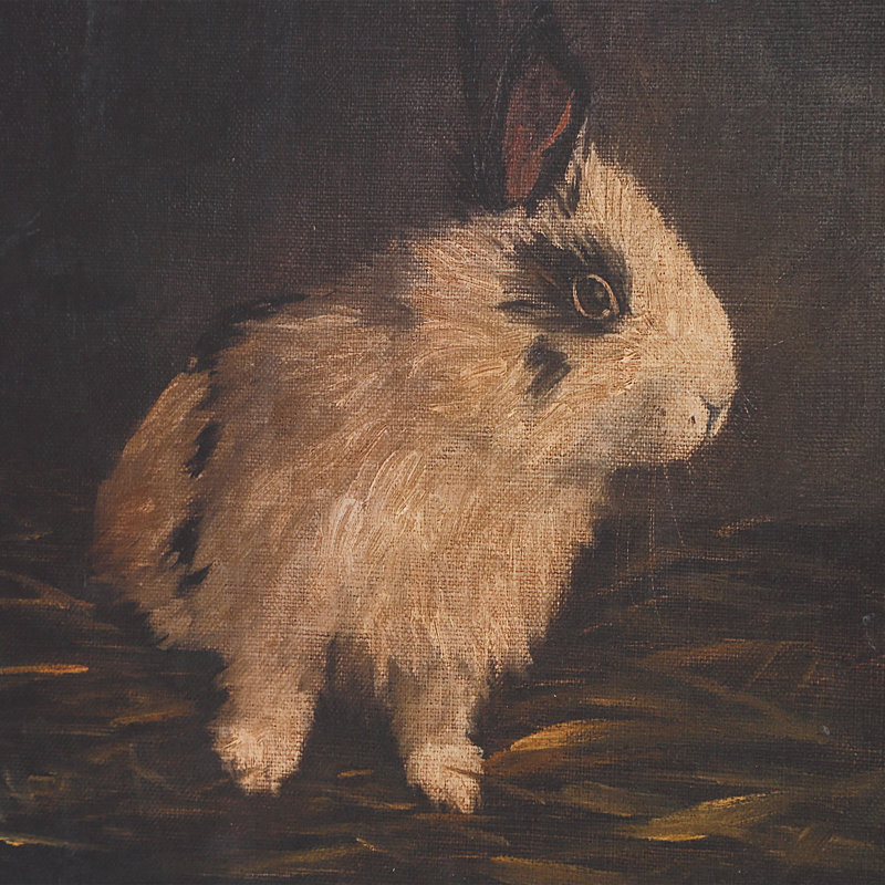 Uttermost Resting Bunny Framed Prints