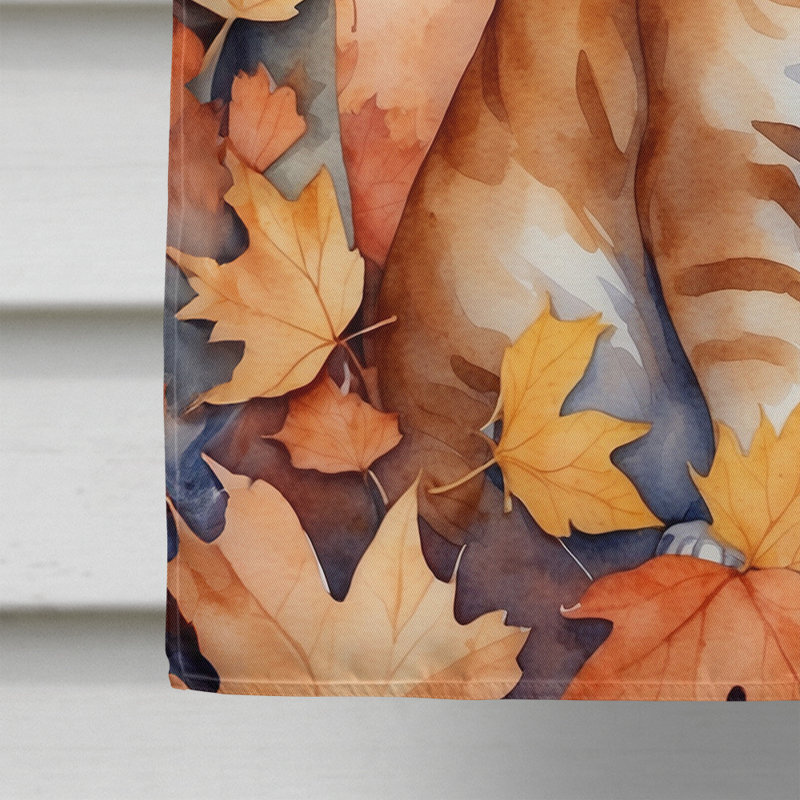 Chat en feuilles d'automne, Ural Rex