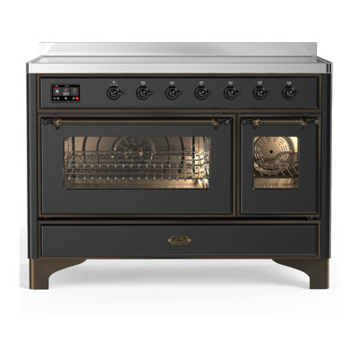 Majestic III Series 48 Inch Induction Range with 6 Induction Elements in Matte Graphite (Burnished Trim)