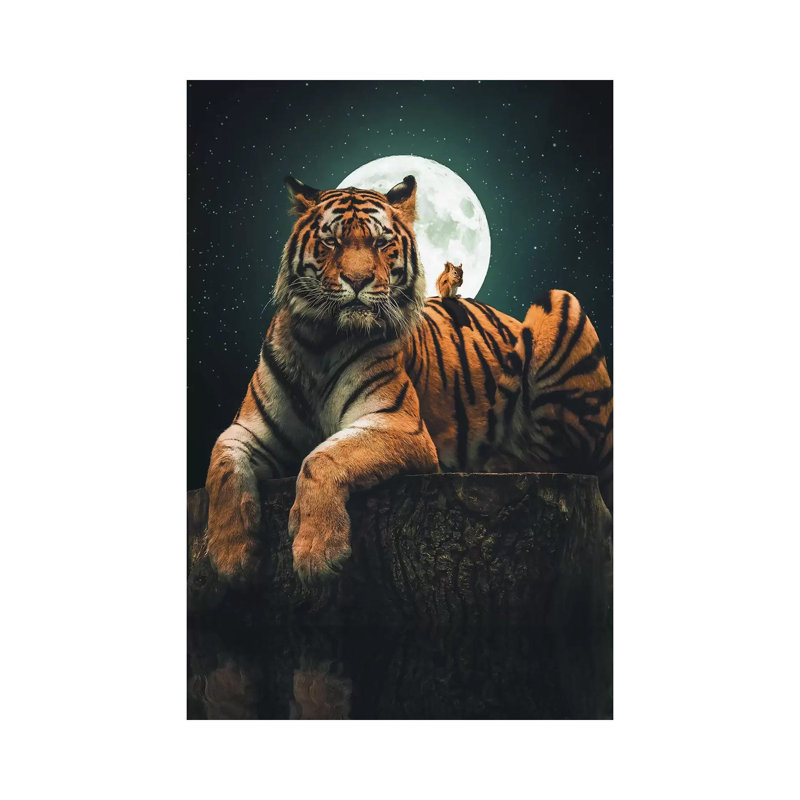 Tiger Squirrel by Zenja Gammer - Print on Canvas, Wrapped Canvas, 20.32 cm H x 30.48 cm W