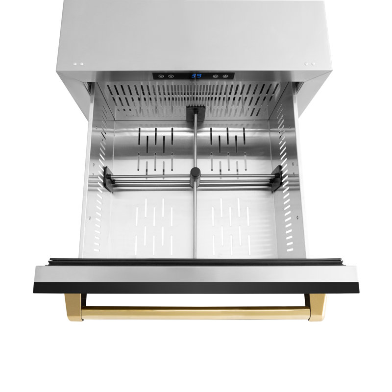 ZLINE Autograph Edition 24 in. Touchstone 168 Can Outdoor-Rated Dual Refrigerator Drawer with Doors and Handles