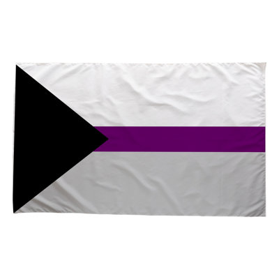 Drapeau Demisexual Pride - drapeau extérieur