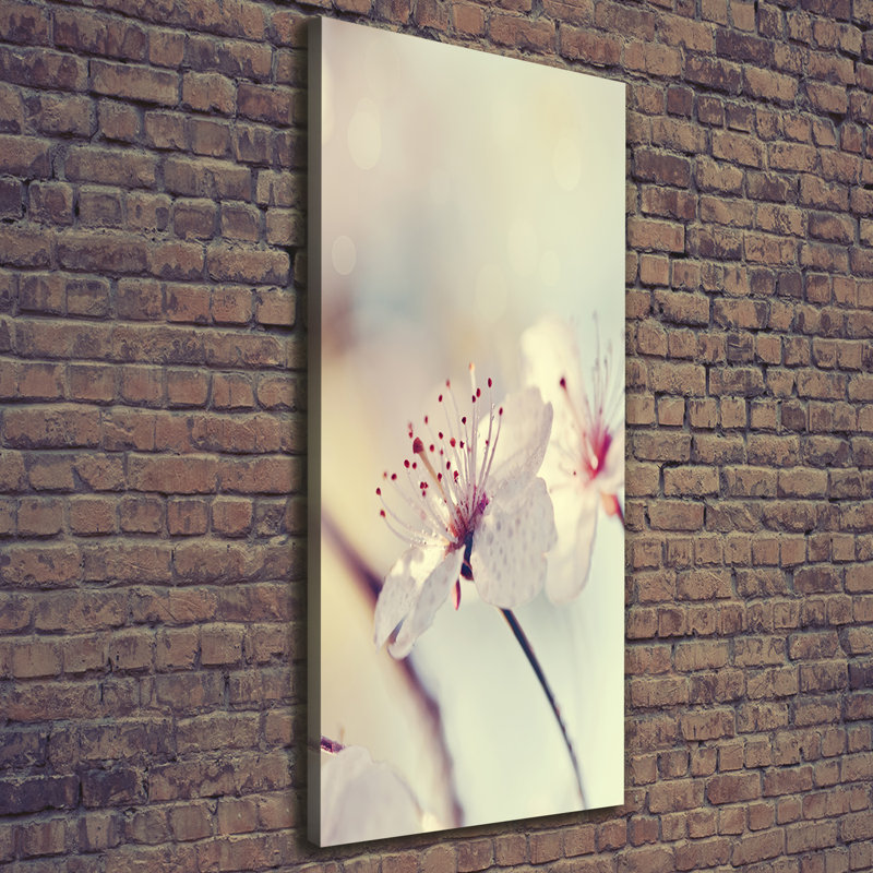 Cherry Blossoms - Wrapped Canvas Print