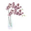 Orchids Arranged in Mirrored Glass Vase