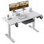 Lasherrie Height Adjustable Standing Desk With A Layer-272774979-272774976