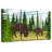 Brampt Grazing Bison And Calf-106052095