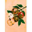 Apple Branch Blossoms by Cartissi — Still Life Wall Art-1806058454-1806058448-1806058463