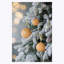 Ornements en boule-1400703385-1356591882-1356591880