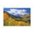 Canvas selected