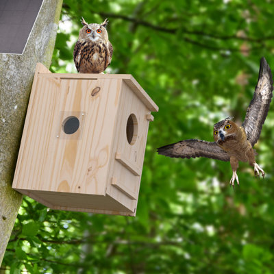 Smart Owl House avec caméra, boîte de nidification en bois naturel à suspendre pour l'extérieur, alimenté à l'énergie solaire, visualisation en temps réel et détection de mouvement, comprend des vis de fixation, facile à assembler, cadeau parfai