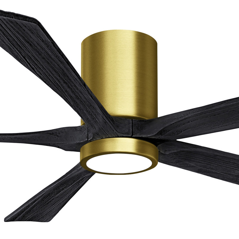 Ventilateur de plafond à 5 pales DEL avec ensemble d'éclairage inclus Irene, Laiton brossé, 60", Noir mat