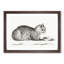 Cat by a Bowl by Jean Bernard - Picture Frame Drawing Print-55513544-55513545