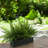 Kenley Outdoor UV Rated Fern in Rectangular Planter-1530546432-1506924290
