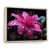 Natural Floater Framed