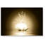 Glass Art-21164269-21295350