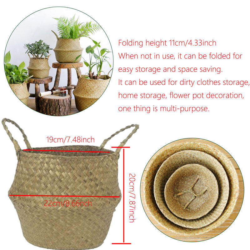 Panier de ruppie maritime, H 7,87 po x l 8,66 po x P 8,66 po