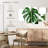 Monstera Leaf-108744808