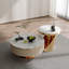 Solid Coffee Table with Storage-1617604434