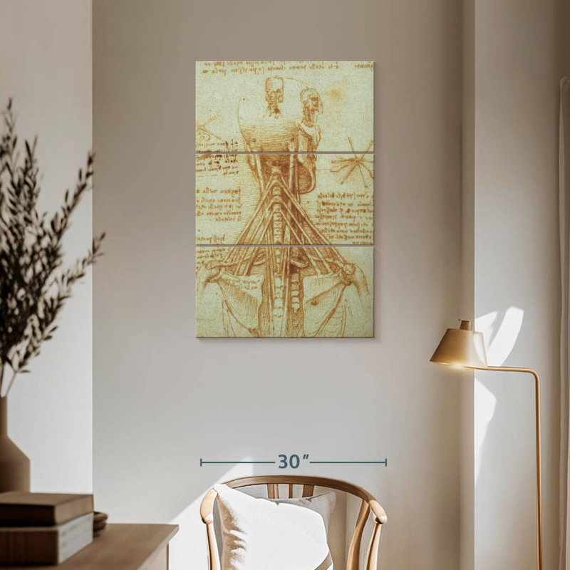 Anatomie du cou Keiri, H 57 po x l 36 po