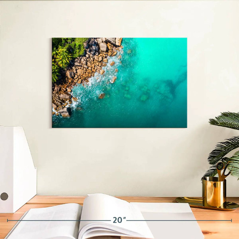 Gillard Seychelles Shark Gillard, 8" H x 12" W