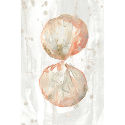 Muted Molusk I by June Erica Vess - Wrapped Canvas Painting